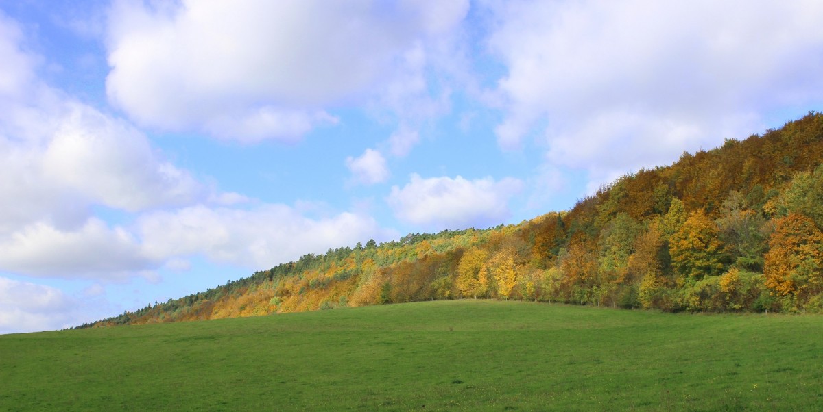 hoerselberg-im-herbst hoerselberg-im-herbst