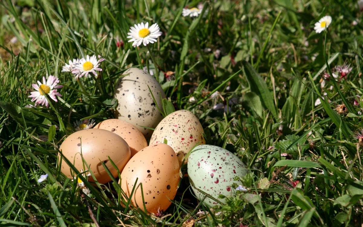 Ostern | Foto: angieconscious/pixelio.de Ostern | Foto: angieconscious/pixelio.de